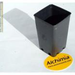 Maceta negra, cuadrada10x10x17cm1'4L | Rel: Bandeja de 60 orificios para Jiffys de 41mm
