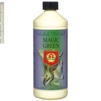 H&G Magic Green 0'25L