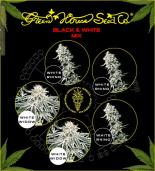 Black & White green house  colores | Rel: Sativa mix green house  colores