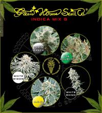 Indica mix G green house   colores
