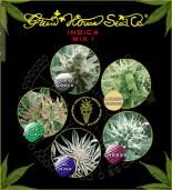 Indica mix I green house  colores | Rel: Sativa/Indica mix C green house  colores