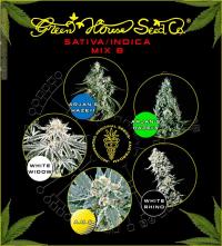 Sativa/Indica mix B green house  colores