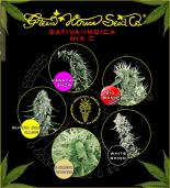 Sativa/Indica mix C green house  colores | Rel: Sativa/Indica mix B green house  colores
