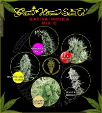 Sativa/Indica mix C green house  colores