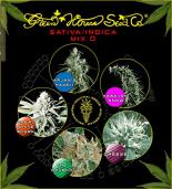 Sativa/Indica mix D green house  colores | Rel: Lemon Skunk