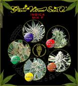 Indica mix F green house   colores | Rel: Sativa/Indica mix D green house  colores