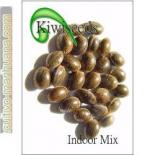 Indoor MIX Kiwi Seeds | Rel: 2 Pounder