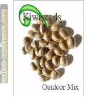 Outdoor Mix Kiwi