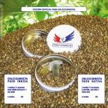Coleccionista Pack IndicaPositronics | Rel: Feminized MixSensi Seeds 