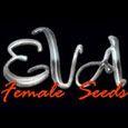 Special Mix 3 Eva Seeds