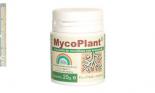 TRABE MycoPlant20gr | Rel: TRABE Revihemp regenerador10 ml